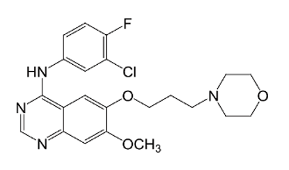 Picture of N-(3-chloro-4-fluorophenyl)-7-methoxy -6-(3-morpholinopropoxy)quinazolin-4-amine (Custom Volume)