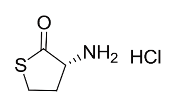 Picture of L-Homocysteine thiolactone hydrochloride (2 mg)